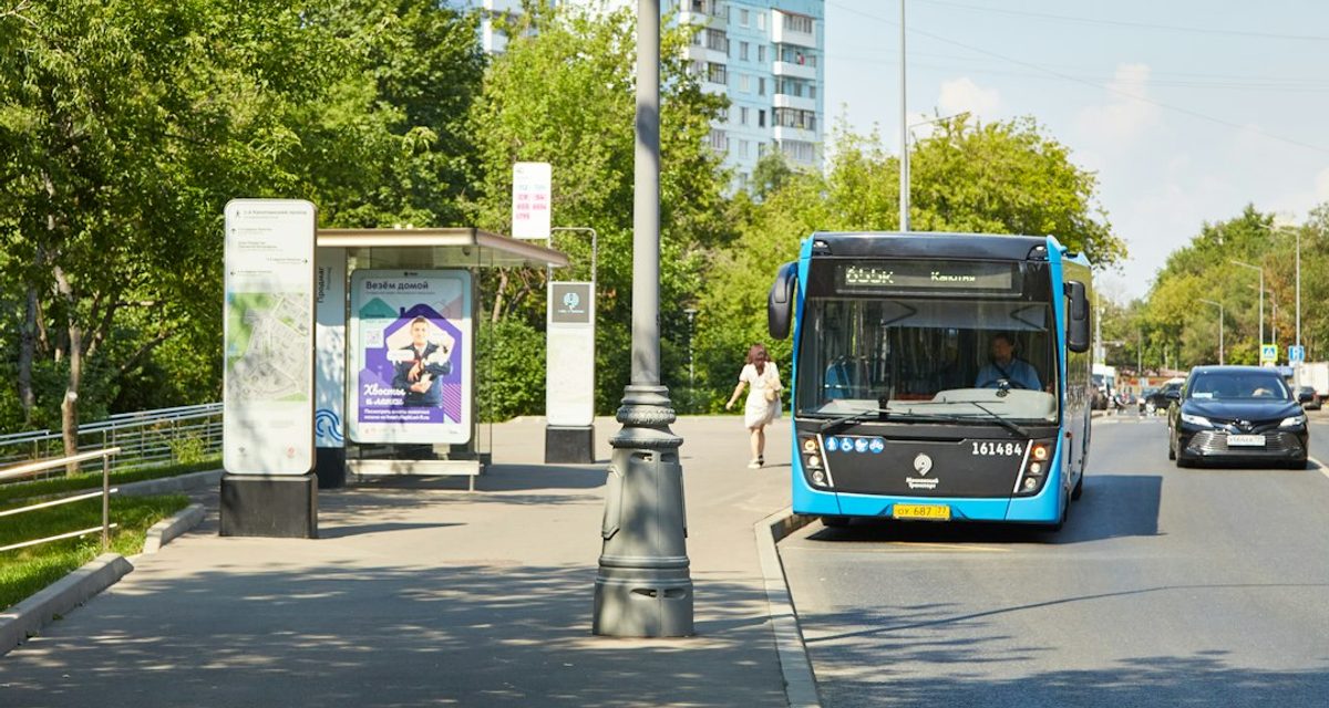 От метро «Медведково» в Мытищи запустят два новых пригородных маршрута