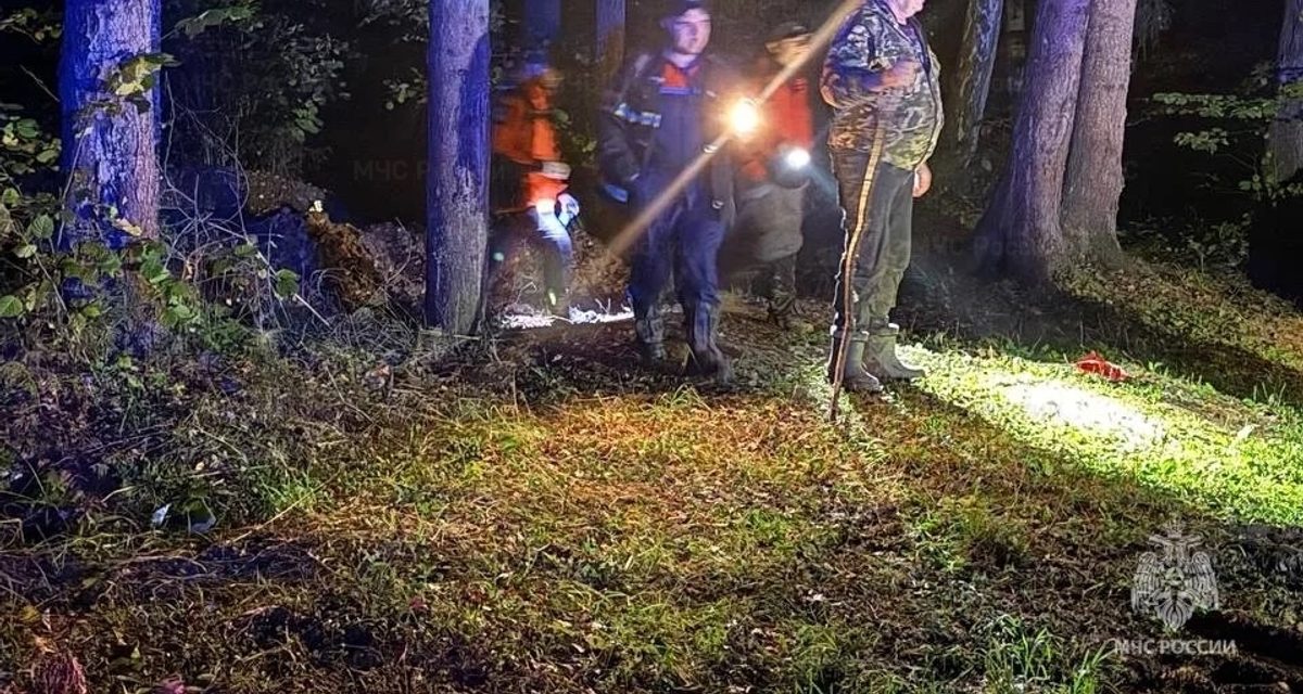 Заблудившегося в лесу пенсионера нашли в Подольске около полуночи