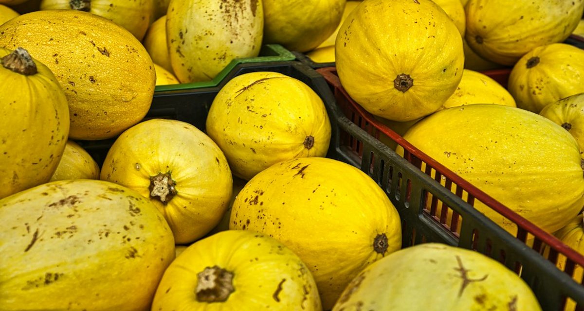 В парке Мира пройдет маркет локальных брендов с фермерскими продуктами