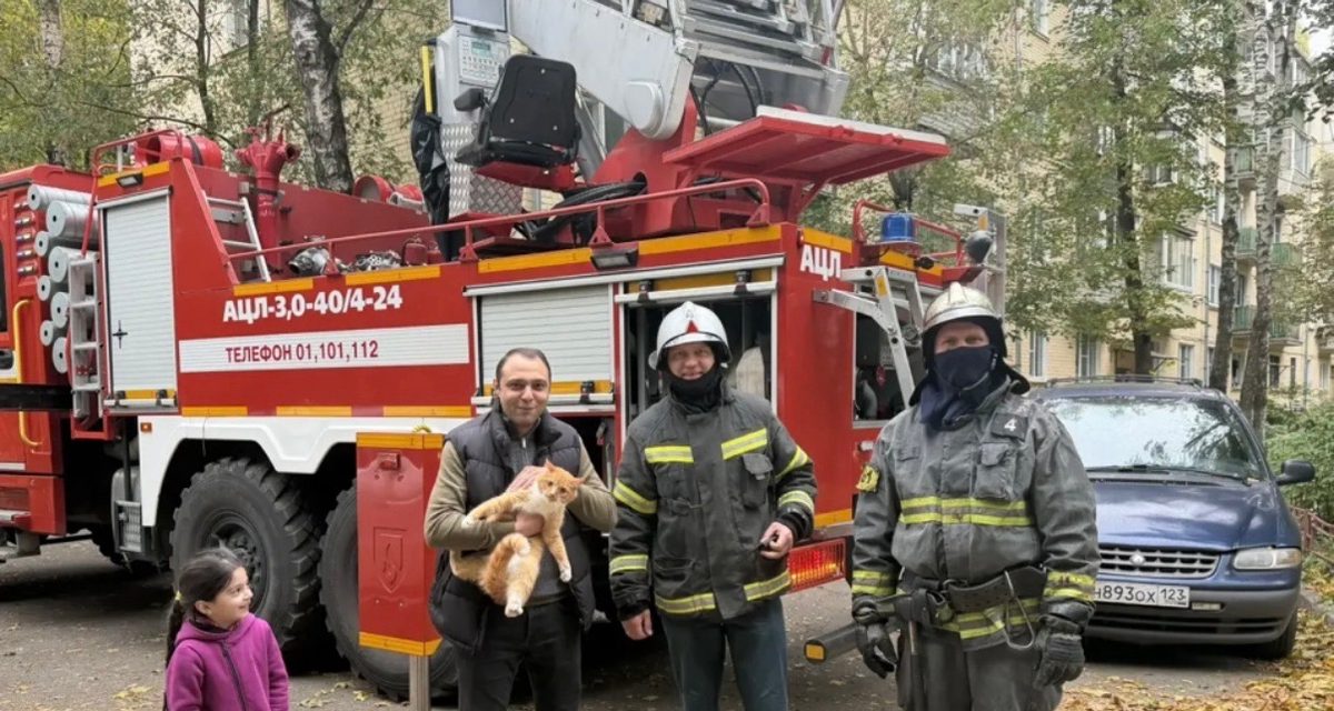 Кот Василий несколько часов просидел на уровне третьего этажа, пока его не сняли пожарные